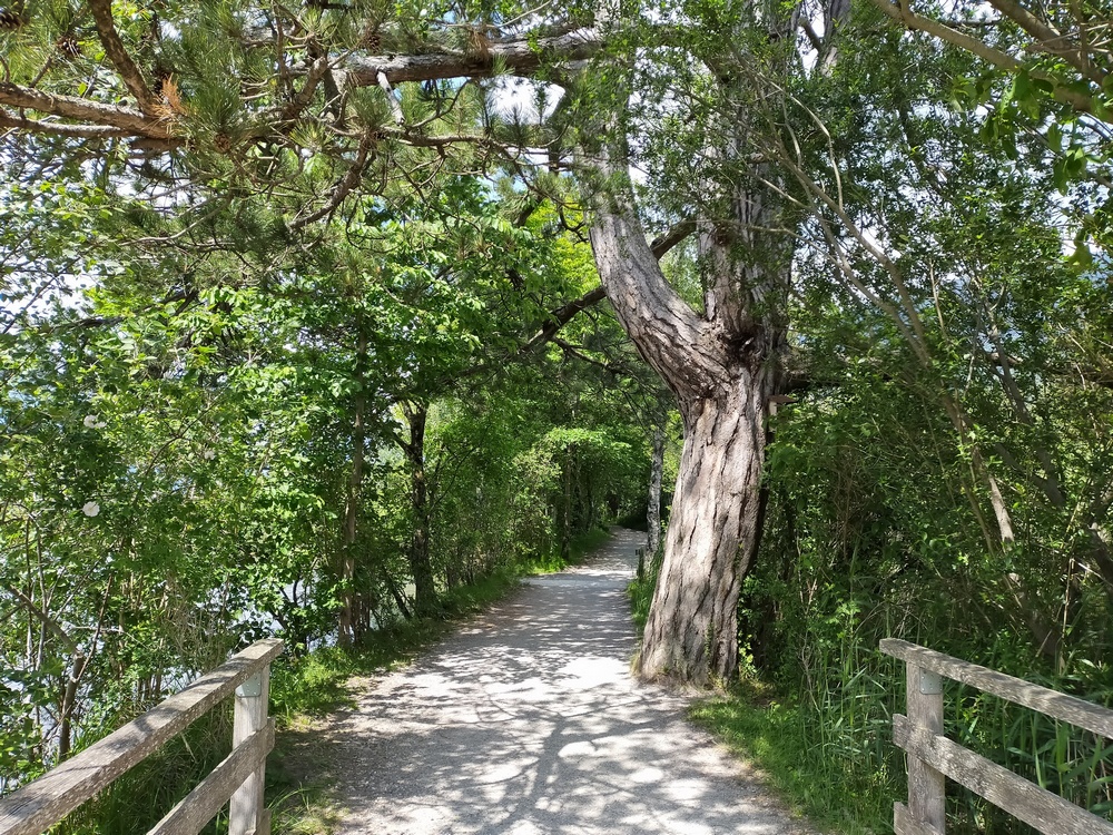 lomolomi massage wittenwiler cham