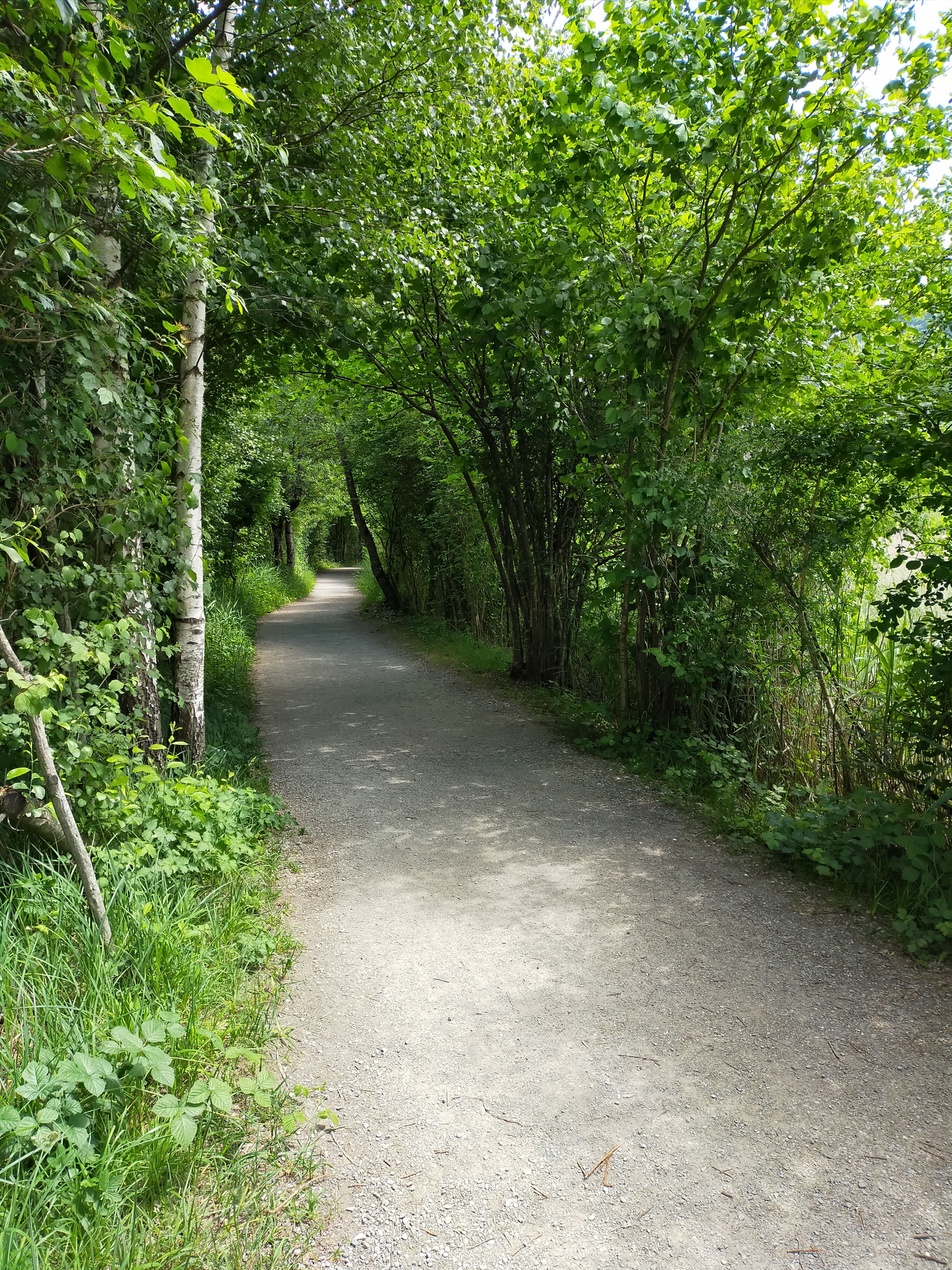 Spirituelle Beratung und Standortbestimmung